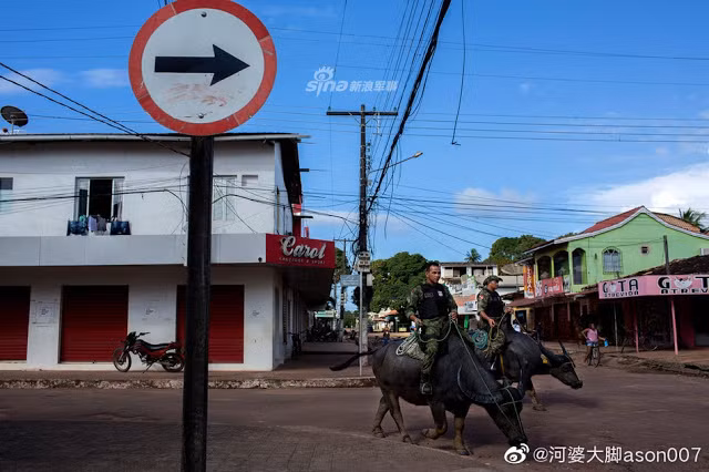 chuyen la thu vi: quan canh brazil cuoi trau de tuan tra hinh anh 2