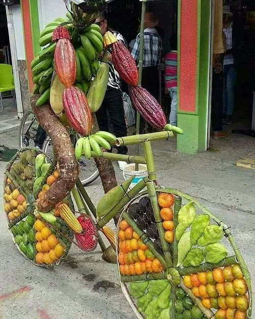 Xe đạp thân thiện với môi trường. 10-anh-hai-hot-nhat-facebook-trong-ngay-2