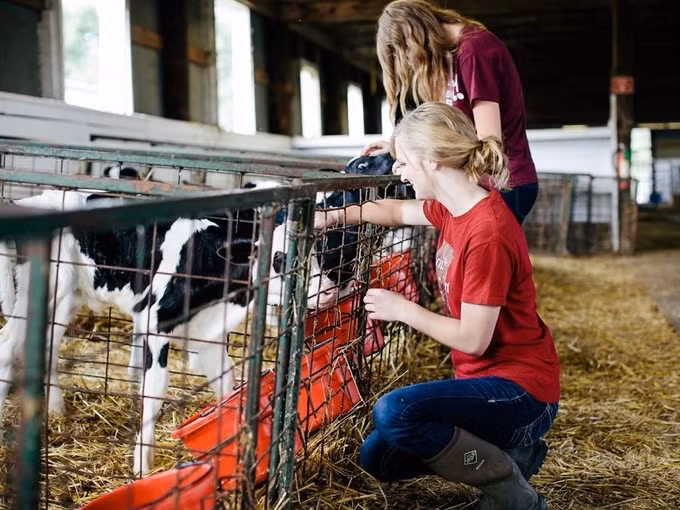 Đại học Mỹ cho sinh viên trồng rau, nuôi bò để trả học phí ảnh 4