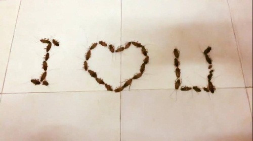 Lời tỏ tình khiến mọi cô gái khóc thét. 10-anh-hai-hot-nhat-facebook-trong-ngay-7