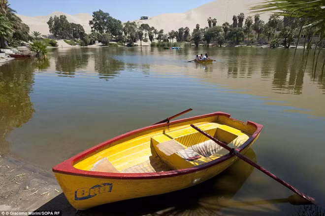 Không thể tin nổi: Giữa sa mạc khô cằn có một ốc đảo xinh lung linh thế này - Ảnh 10.