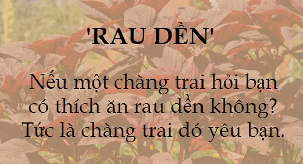 Những định nghĩa quá vui, quá chuẩn ảnh 3