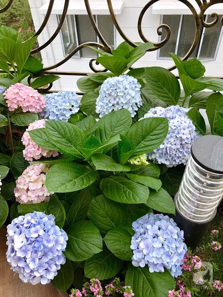 31195698_1558453084265538_2738819667345801216_n