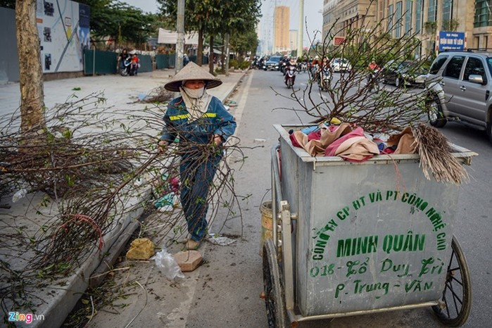 Công nhân công ty môi trường tất bật dọn dẹp số đào quất bị bỏ lại, dọn dẹp đường phố trước thời khắc chuyển sang năm mới. Công nhân công ty môi trường tất bật dọn dẹp số đào quất bị bỏ lại, dọn dẹp đường phố trước thời khắc chuyển sang năm mới.