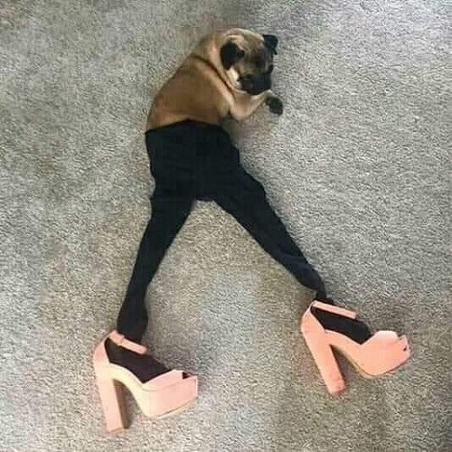 Thời trang dạo Tết. Thời trang dạo Tết.