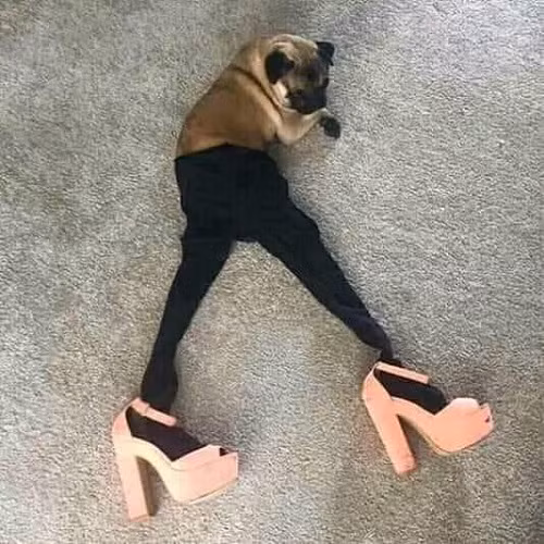 Thời trang dạo Tết.