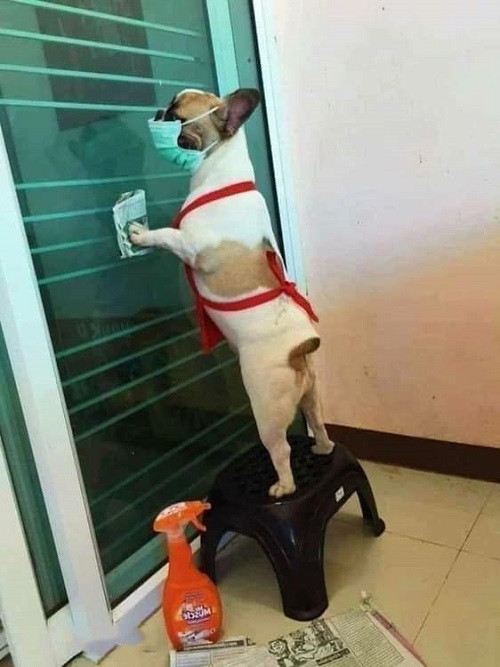 ‘Việc gì trong nhà cũng phải đến tay tôi!’. Việc gì trong nhà cũng phải đến tay tôi!.