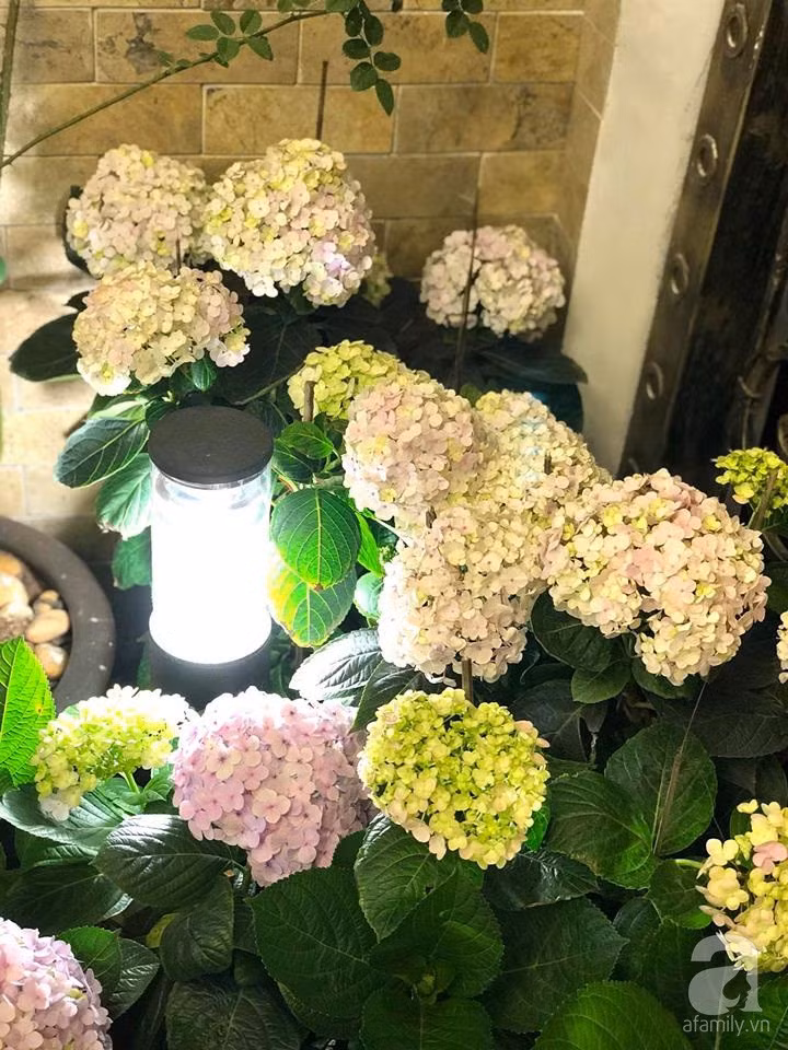 30739078_1553707034740143_1285725612840845312_n