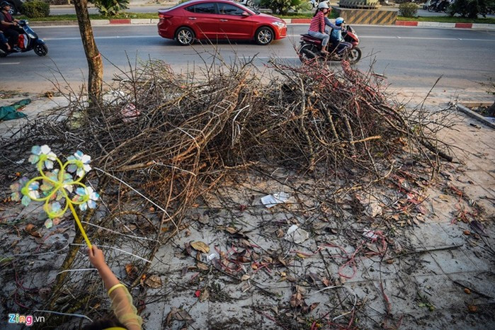 Cành đào rừng nếu vài ngày trước đây có giá lên tới cả triệu đồng thì nay do nắng nóng khô héo, bị tiểu thương bỏ lại chất thành đống. Cành đào rừng nếu vài ngày trước đây có giá lên tới cả triệu đồng thì nay do nắng nóng khô héo, bị tiểu thương bỏ lại chất thành đống.