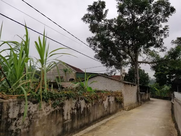 Lối vào nhà nghi phạm An ngày 30 Tết.