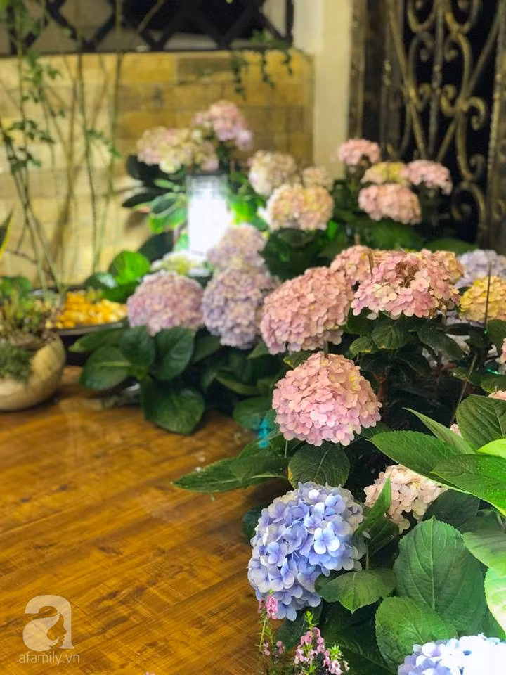 31171189_1558919150885598_7832977559909302272_n