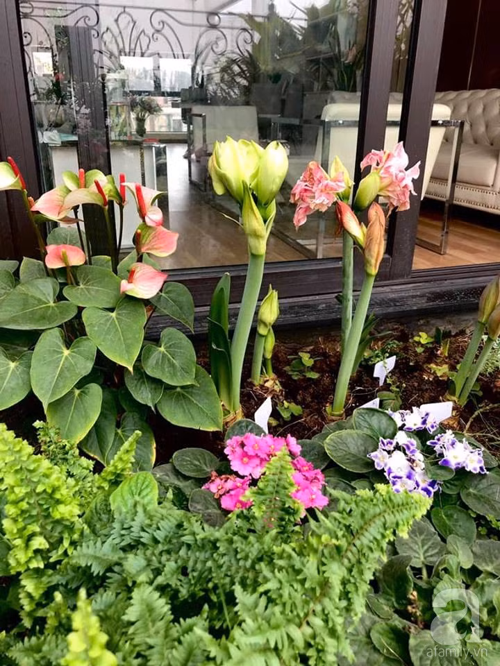 49667011_1906457642798412_6879538147827384320_n