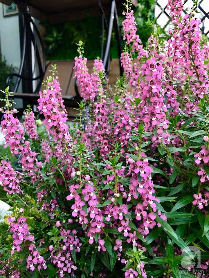 36286691_1635392619904917_5804429712478437376_n