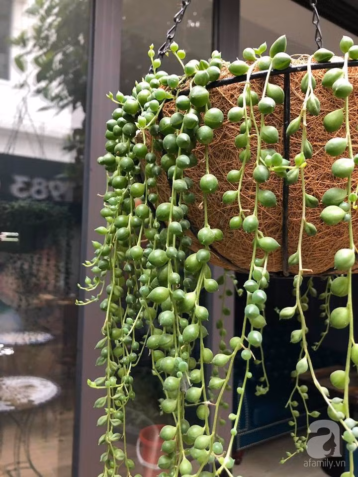 47687634_1864320043678839_7709937729110278144_n