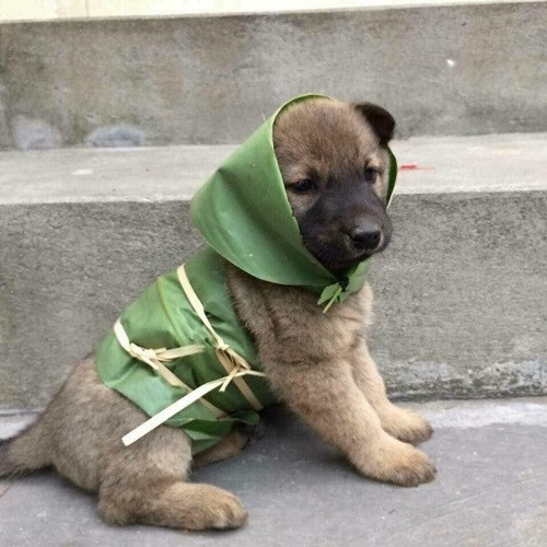 Hot trend 2019. Hot trend 2019.