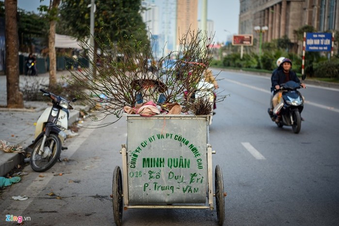 Nữ công nhân vệ sinh môi trường này chia sẻ: "Cây bị bỏ lại chủ yếu là đào Nhật Tân, đào rừng, đào phai, quất cảnh. Số lượng cây bị vứt đi năm nay không nhiều nên tôi hy vọng sẽ kết thúc công việc trước thời khắc giao thừa". Nữ công nhân vệ sinh môi trường này chia sẻ: "Cây bị bỏ lại chủ yếu là đào Nhật Tân, đào rừng, đào phai, quất cảnh. Số lượng cây bị vứt đi năm nay không nhiều nên tôi hy vọng sẽ kết thúc công việc trước thời khắc giao thừa".