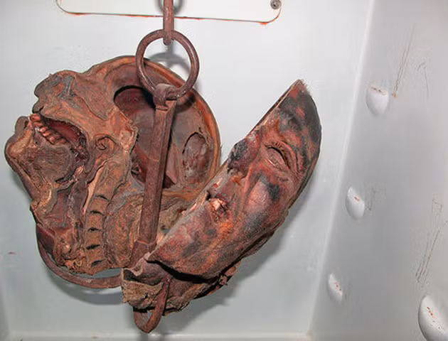 Hộp sọ bị bổ đôi của Kurten, đang trưng bày ở Bảo tàng Ripley’s Believe It or Not!, Wisconsin (Mỹ).