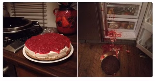 Chết cười với trào lưu ảnh so sánh đầu năm – cuối năm 2016 ảnh 18