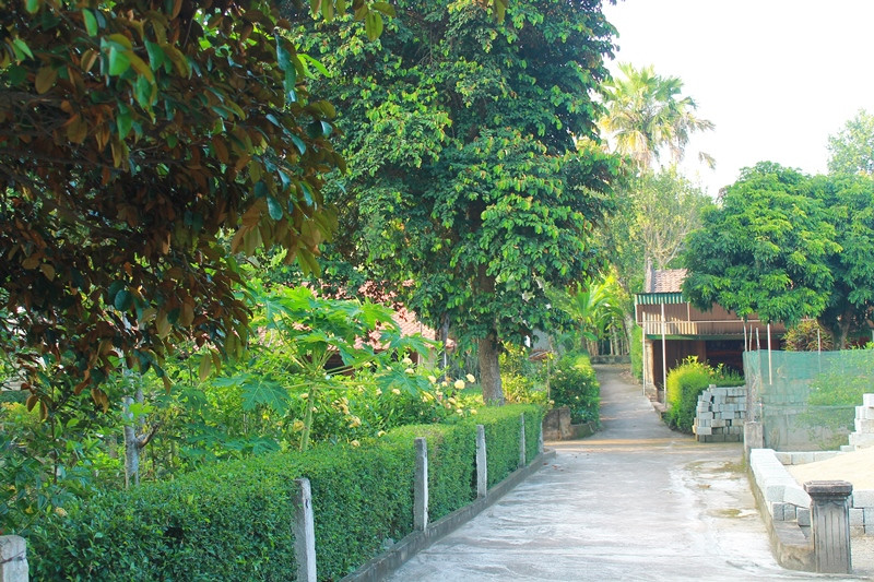 Đường vào ngôi nhà cổ của ông Thản.