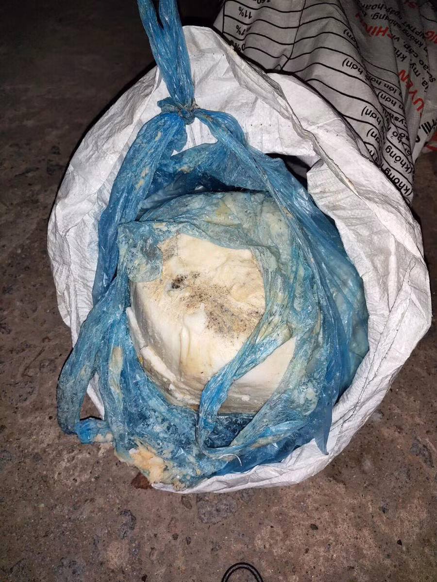 Mỡ đã biến màu và không có giấy phép đảm bảo vệ sinh thú y.