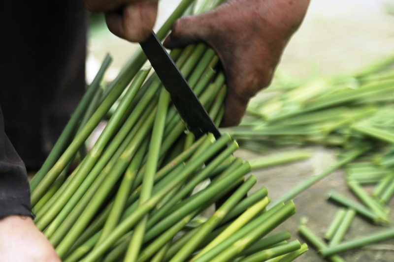 Được cắt tỉa cẩn thận