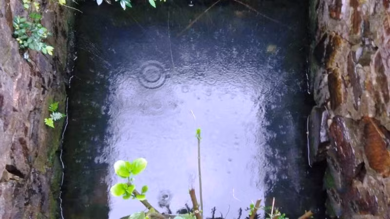 Lâu nay đã được đồn thổn