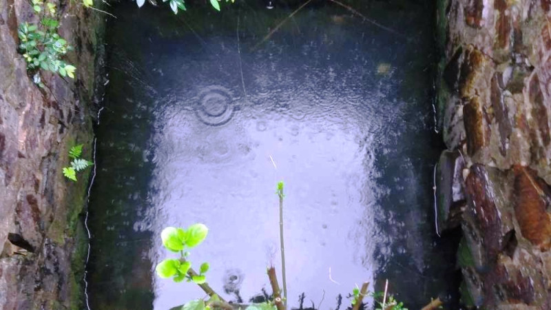 Lâu nay đã được đồn thổn