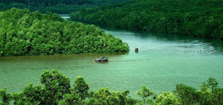 Khu dự trữ sinh quyển rừng ngập mặn Cần Giờ sẽ được trưng bày tại triển lãm. Khu dự trữ sinh quyển rừng ngập mặn Cần Giờ sẽ được trưng bày tại triển lãm.