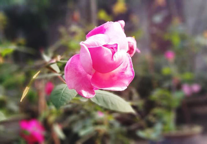 Những điều nên làm để thoát khỏi nỗi buồn sau chia tay