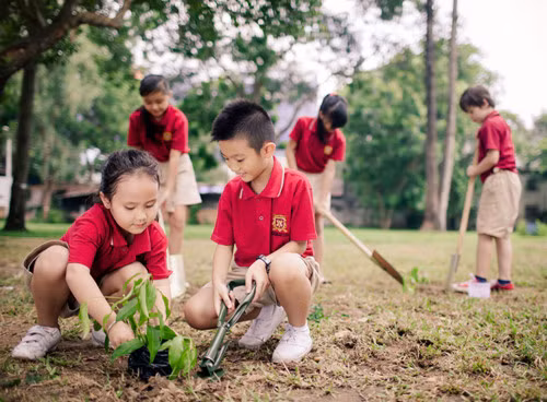 Học sinh VAS tham gia trồng cây hưởng ứng chủ đề năm học Xanh