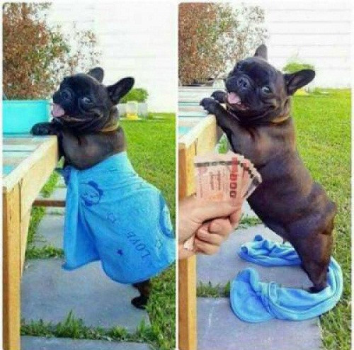 Có tiền là có tất cả. 10-anh-hai-hot-nhat-facebook-trong-ngay