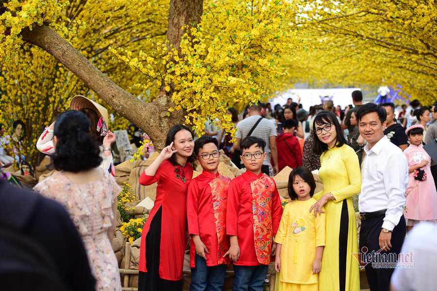 Những gia đình lưu giữ khoảnh khắc bên đường mai Con đường hoa mai rực rỡ sắc xuân ở Sài Gòn