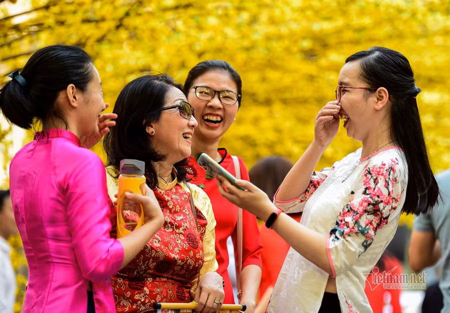 Con đường hoa mai rực rỡ sắc xuân ở Sài Gòn