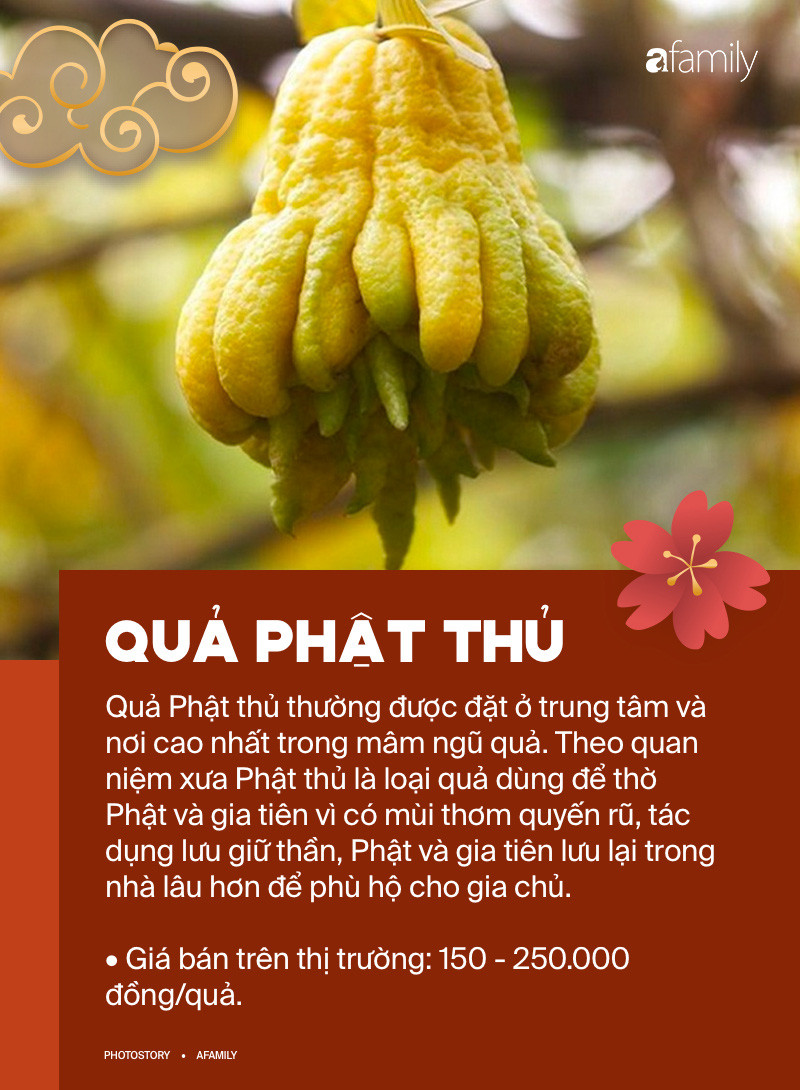 Để mâm ngũ quả vừa hợp phong thủy vừa thêm ý nghĩa trong dịp Tết thì đây là những loại quả mà bạn nên chọn - Ảnh 4. Để mâm ngũ quả vừa hợp phong thủy vừa thêm ý nghĩa trong dịp Tết thì đây là những loại quả mà bạn nên chọn - Ảnh 4.