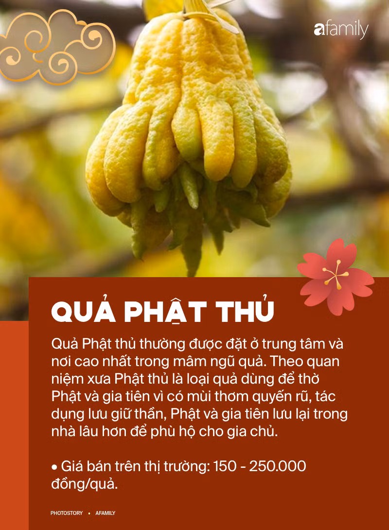 Để mâm ngũ quả vừa hợp phong thủy vừa thêm ý nghĩa trong dịp Tết thì đây là những loại quả mà bạn nên chọn - Ảnh 4.
