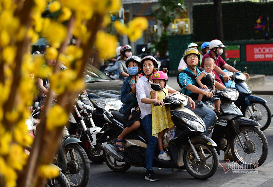Người đi đường cũng bị hấp dẫn bởi những cành mai vàng rực Con đường hoa mai rực rỡ sắc xuân ở Sài Gòn