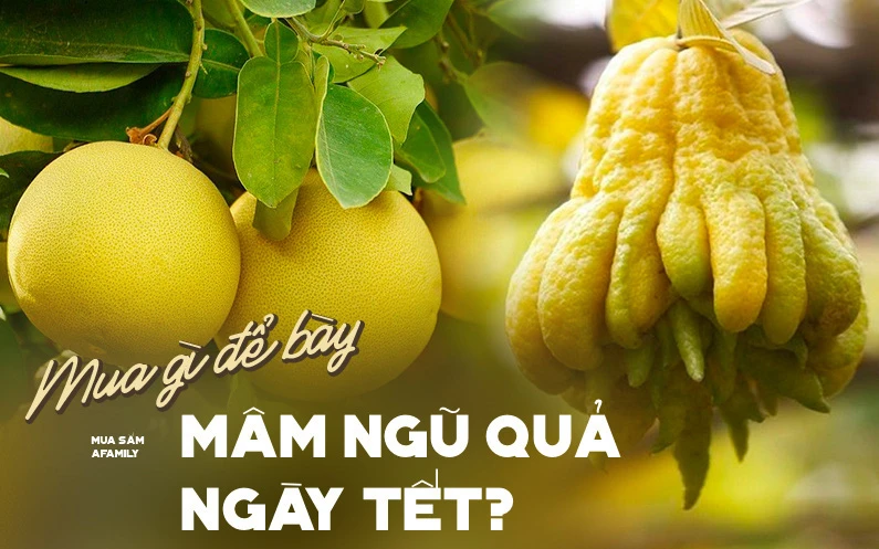 Những loại quả nên bày trên mâm ngũ quả vừa hợp phong thủy vừa thêm ý nghĩa dịp Tết