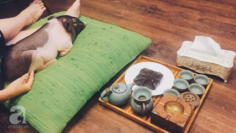 E4216038-D465-4B25-803E-C9F0AE8FE2B4