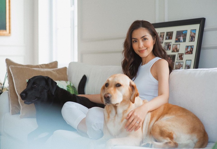 Bất ngờ cuộc sống bình dị của "ngọc nữ" Tăng Thanh Hà sau cánh cửa hào môn ảnh 1 Bất ngờ với cuộc sống bình dị của ngọc nữ Tăng Thanh Hà sau cánh cửa hào môn-2