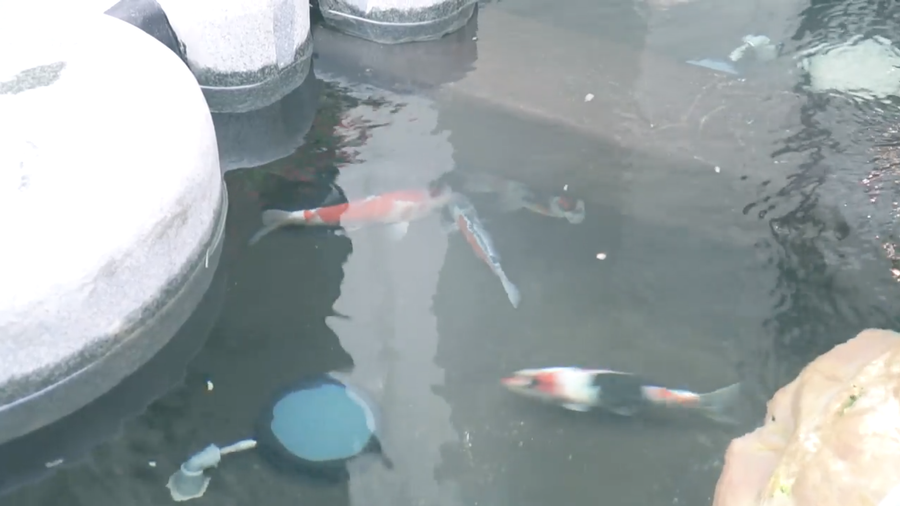 Hé lộ căn biệt thự đầy đủ tiện nghi, gần gũi thiên nhiên của Hương Tràm ảnh 6 Hé lộ căn biệt thự đầy đủ tiện nghi, gần gũi thiên nhiên của Hương Tràm ảnh 6