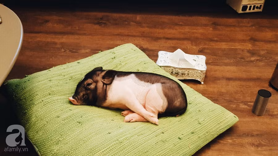 14BEDFAE-A944-4269-A3F8-DD907A80E1A5