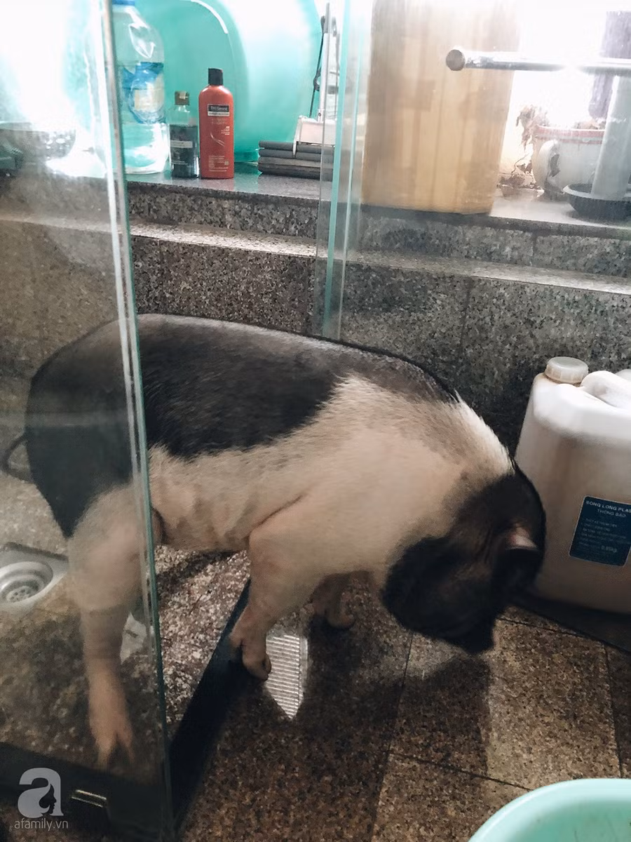 320E52B3-349B-4C09-87D1-72F912F1E9B3