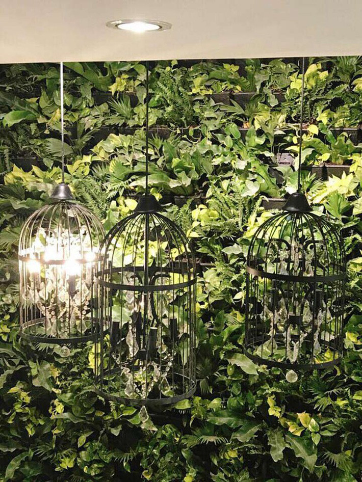 12388c75ea34036a5a25 12388c75ea34036a5a25