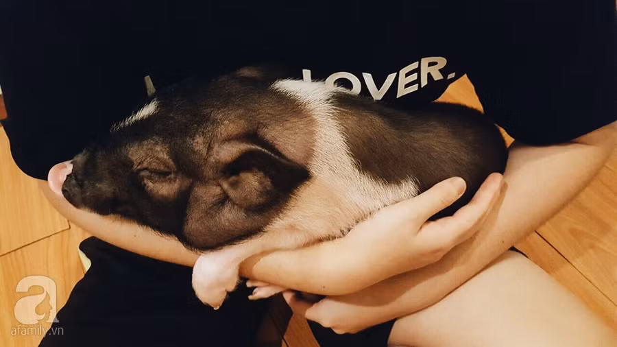 A4FF2917-6311-4346-B66E-51277D83AAD5