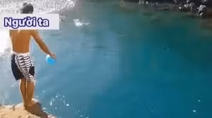 Cuộc sống thực tế thường khác xa... tưởng tượng