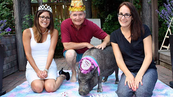 Những kỷ lục khó đỡ được ghi vào sách Guinness của họ nhà lợn mà đảm bảo rất ít người được nghe - Hình 6