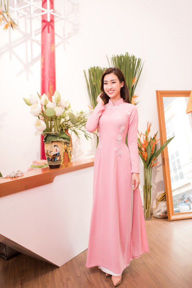 Trước khi Đỗ Mỹ Linh đăng quang Hoa hậu Việt Nam 2016, cả hai đã quen biết nhau trong một chương trình biểu diễn áo dài tại Văn Miếu Quốc Tử Giám.