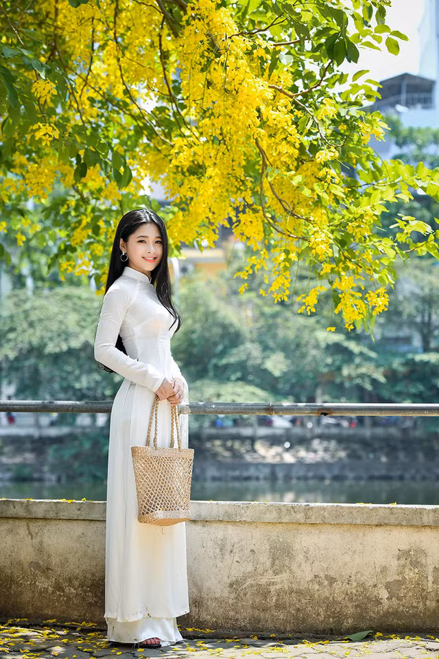 Từ khi được biết tới trên mạng xã hội, Kim Khánh thường nhận được lời mời đi chụp ảnh. Lần này, Khánh ra Hà Nội thực hiện bộ ảnh mang ý tưởng người đẹp bên hoa muồng hoàng yến cùng với nhiếp ảnh gia Lê Xuân Bách.