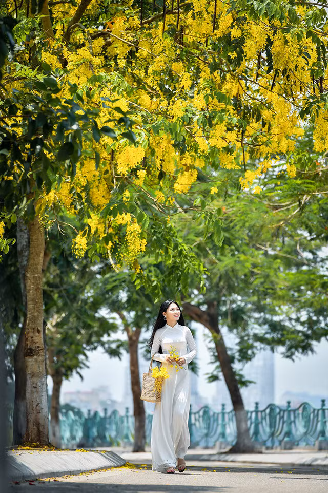 “Hot girl tráng bánh mướt” xứ Nghệ đẹp dịu dàng dưới tán hoàng yến ảnh 11