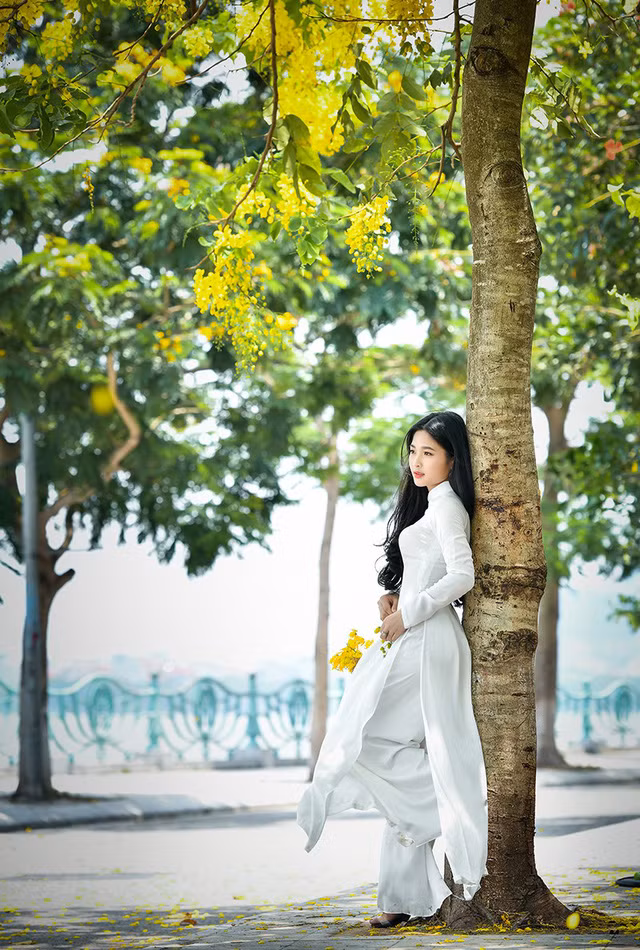 “Hot girl tráng bánh mướt” xứ Nghệ đẹp dịu dàng dưới tán hoàng yến ảnh 9